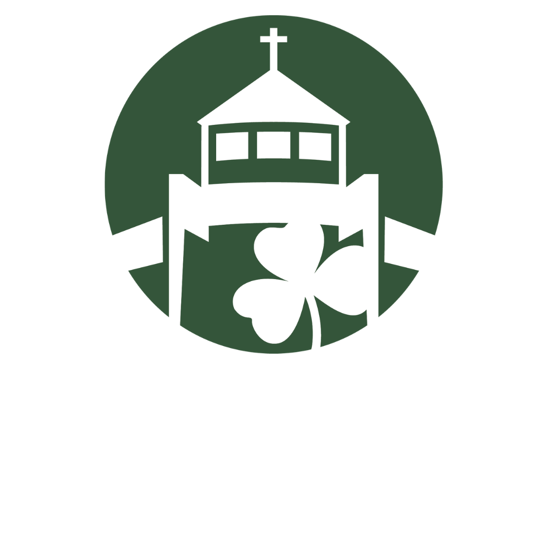 School St Malachy Catholic Church And School